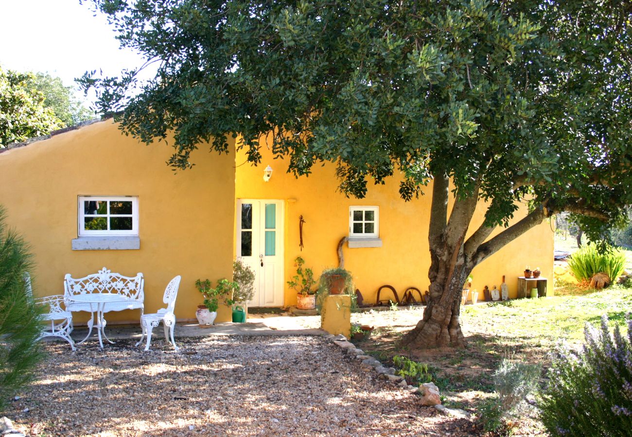 Ferienhaus in Loulé - Casa Amarela